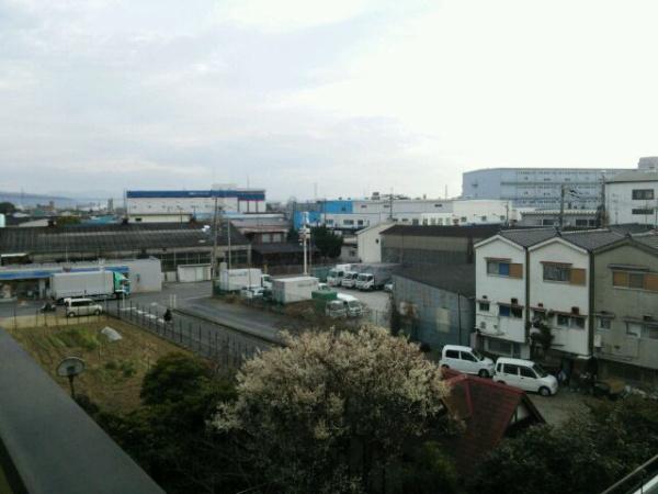 アルブル