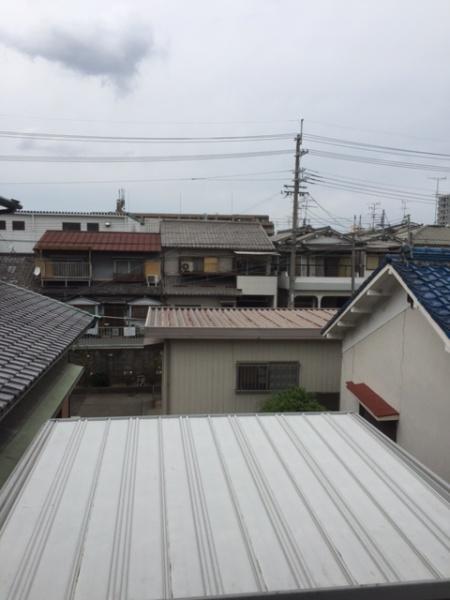 坂本文化