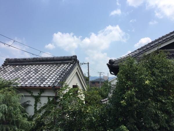 ミルト諸福