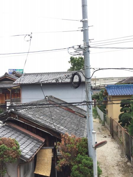 パルテール
