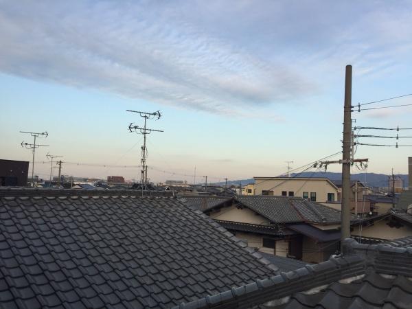 フライングブルー