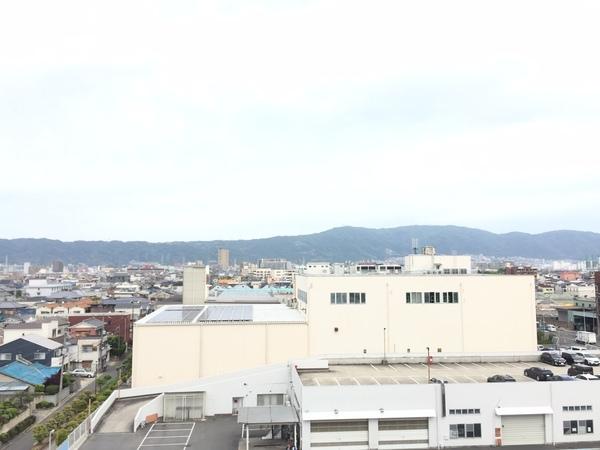 パル・ＯＭ