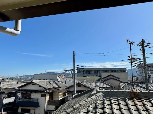 フライングブルー
