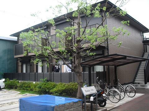 ワンダーライフ