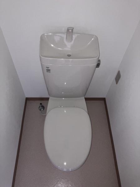 カーサエストゥペンダ