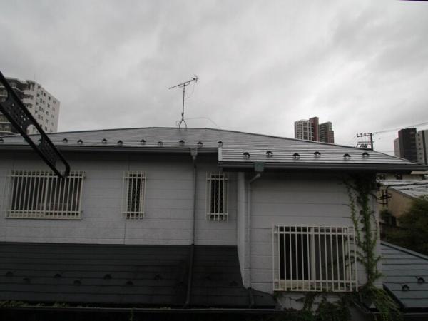 クレセントひばり