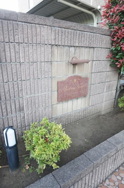 シャロングレース