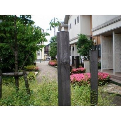 イル・ロトーレC