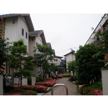 イル・ロトーレC