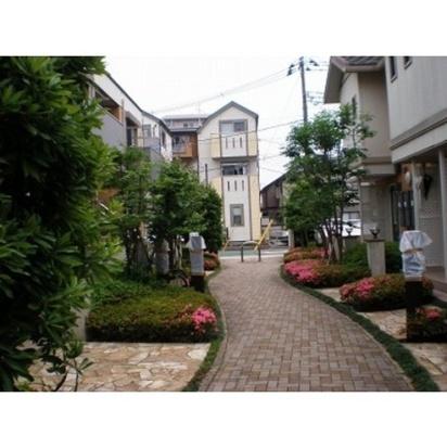 イル・ロトーレC