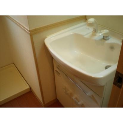 イル・ロトーレC