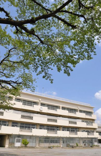 岩蓮華(西東京市立田無第二中学校)