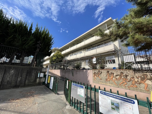 岩蓮華(西東京市立谷戸第二小学校)
