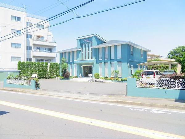 CasaDelGat(ヒデ動物病院)