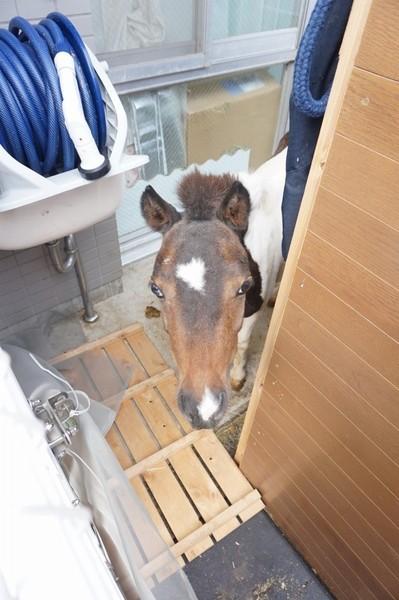 西東京市田無町6丁目のマンション(その他共用部分)