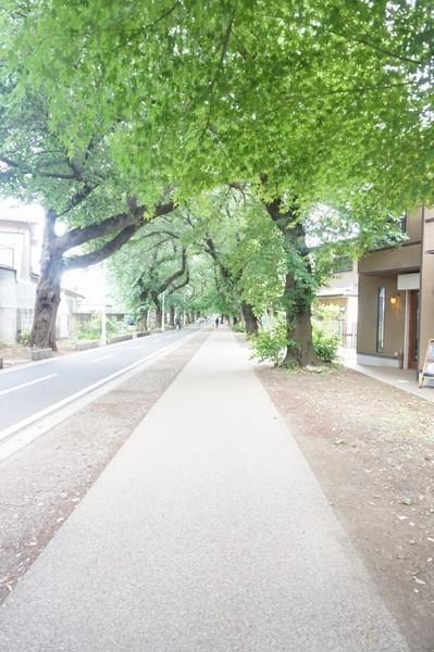 西東京市芝久保町３丁目のアパート