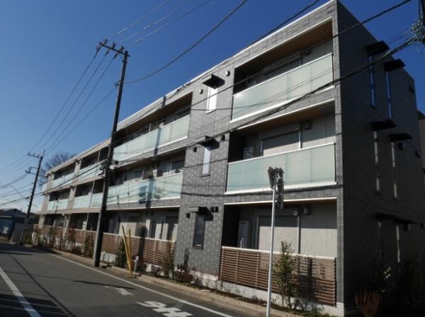 ステラ美光