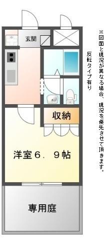 向日葵