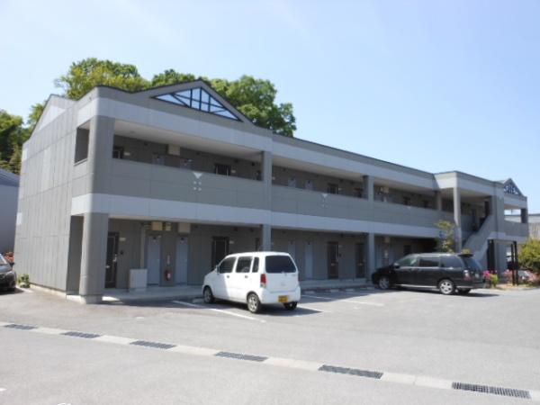 向日葵