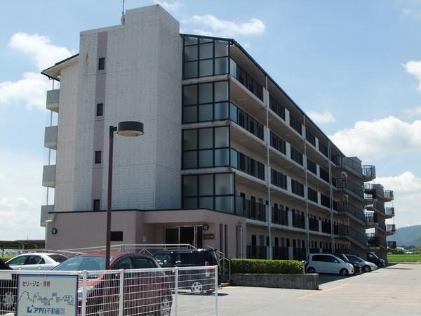 彦根市肥田町のマンション