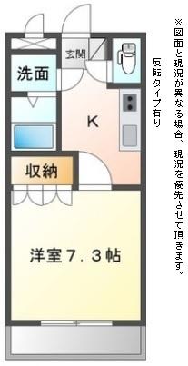 ｓｕｎｎｙ　ｃｏｕｒｔ