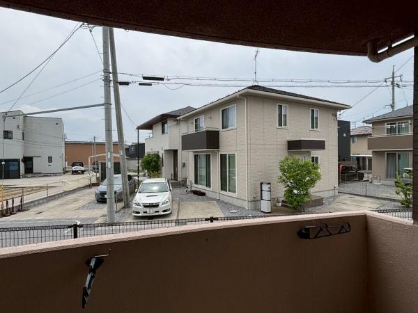 エバーグリーン植政