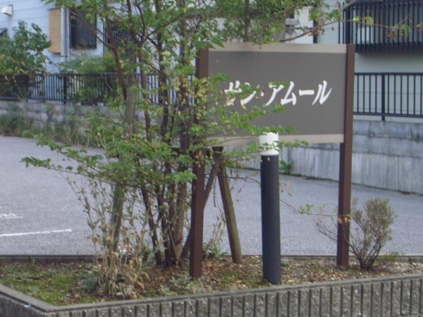 サン・アムール