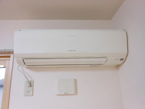 花水木