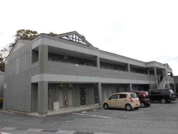 向日葵