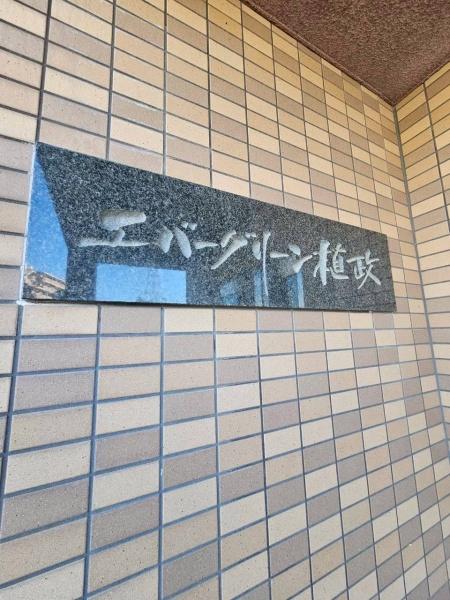 エバーグリーン植政