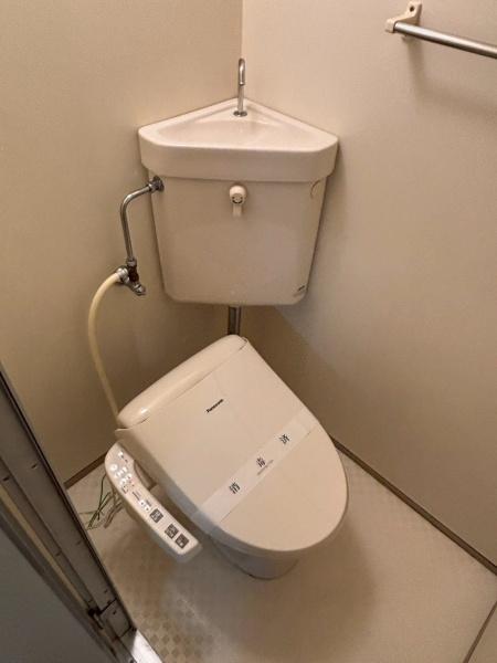 ヴェルドミール伊庭