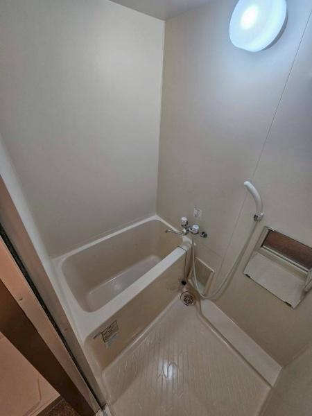 エバーグリーン植政