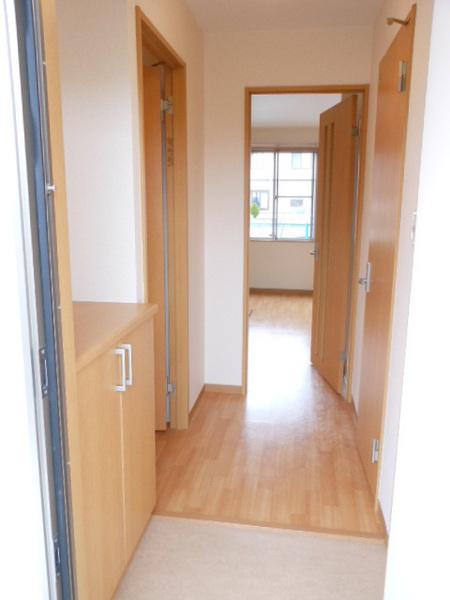 ＭＡＩＳＯＮ　ＬＡＳＴ　ＷＩＳＴＥＲＩＡ