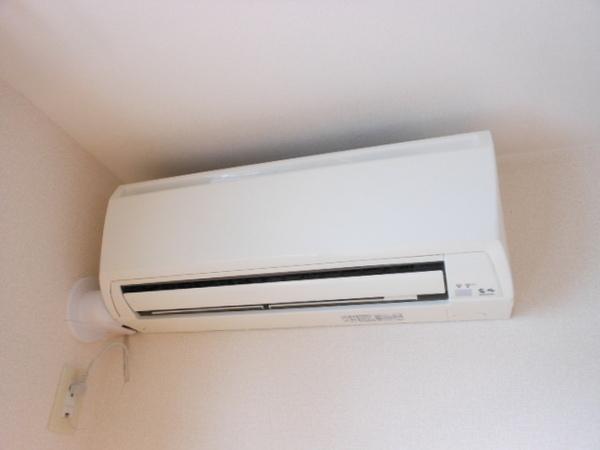 ＭＡＩＳＯＮ　ＬＡＳＴ　ＷＩＳＴＥＲＩＡ