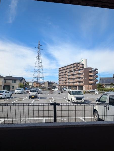 エバーグリーン植政