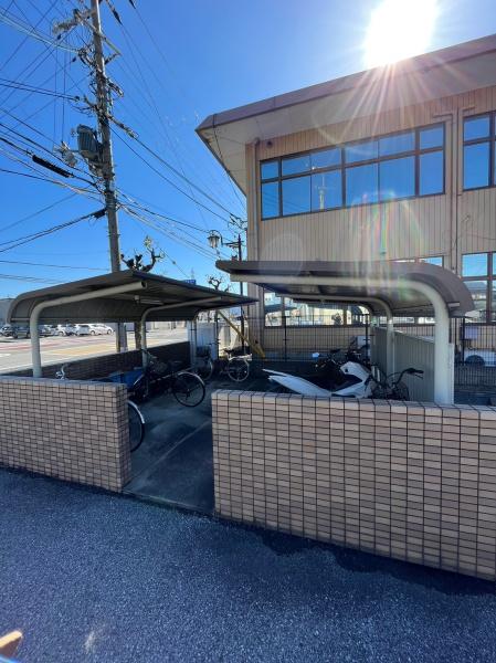 エバーグリーン植政