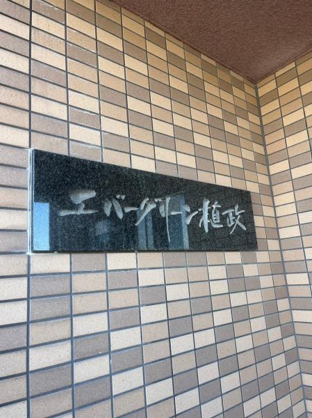 エバーグリーン植政