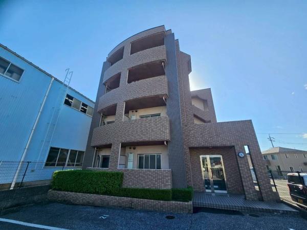 エバーグリーン植政