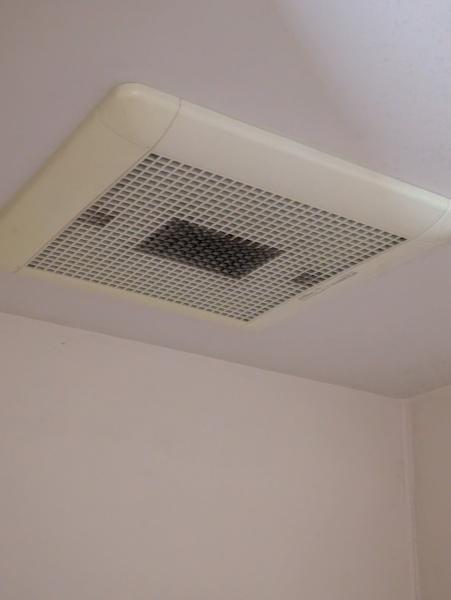 エバーグリーン植政