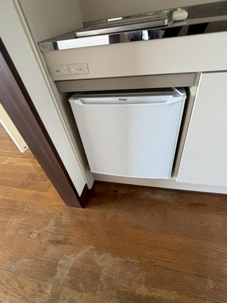 アイシーアネックス