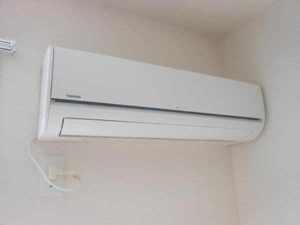 サニーリュート