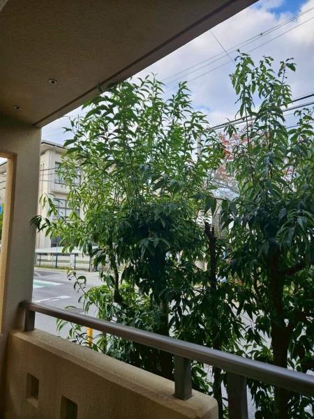 メゾンかしの木