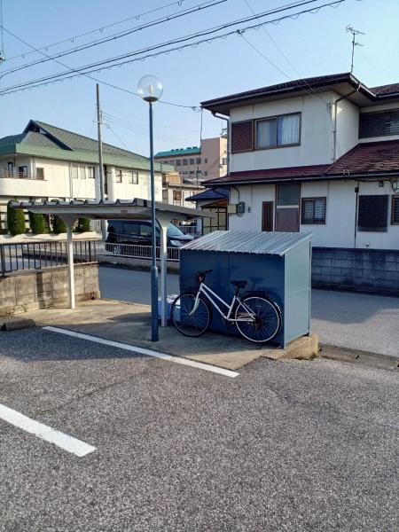 アドニス・ベルロード２