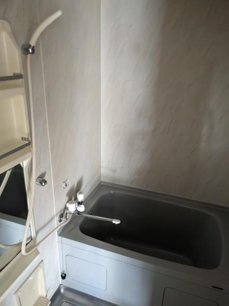 アドニス・ベルロード２