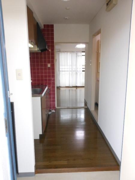 アドニス・ベルロード