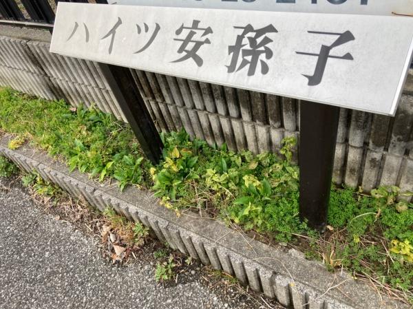 彦根市西今町のアパート