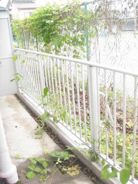 武山ハイツ