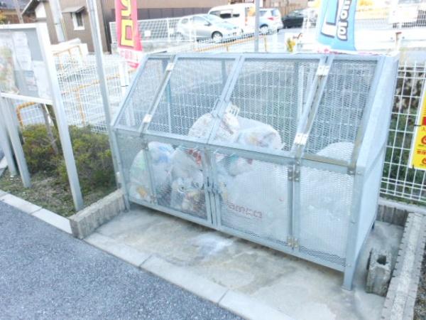 ライブ　ウィル