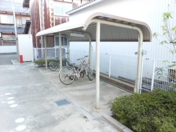 ライブ　ウィル