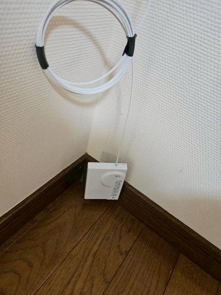 コルネッホ